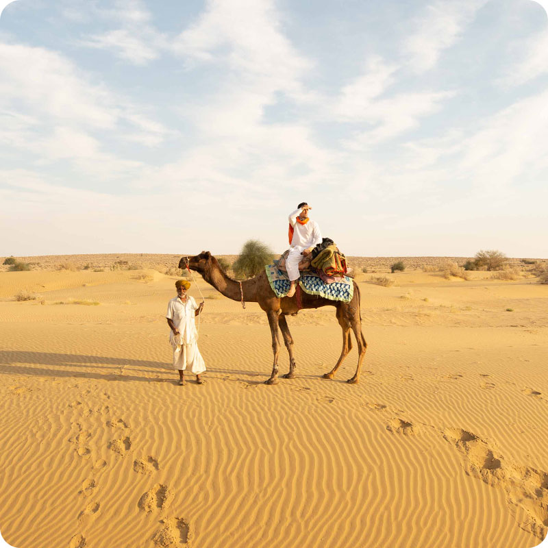 Explore Rajasthan: From Forts to Desert Sands